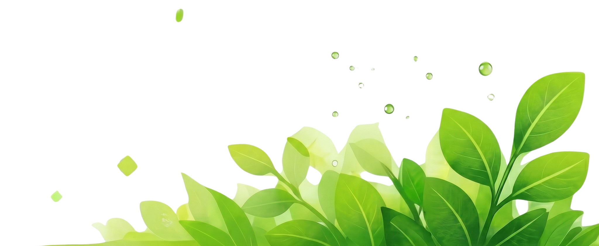 Decorative leaves